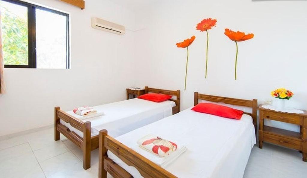 Evi And Aparthotel