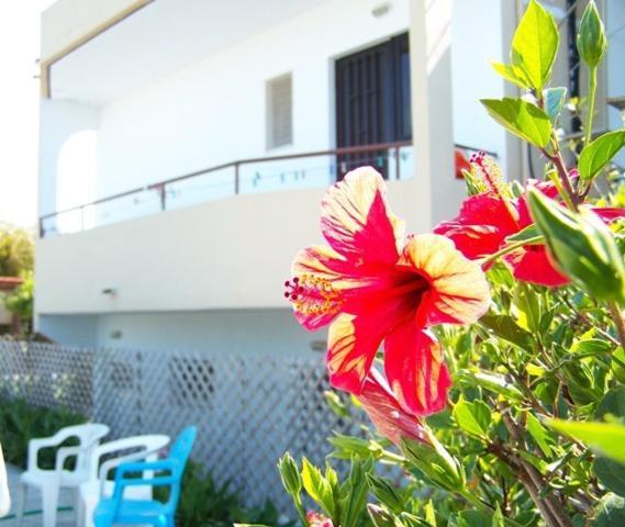 Lejlighedshotel Evi And Theológos
